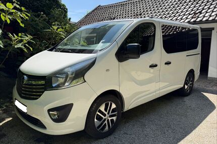 Opel Vivaro Gebrauchtwagen