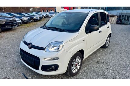 Fiat Panda Gebrauchtwagen