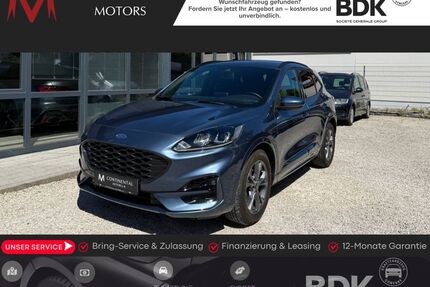 Ford Kuga Gebrauchtwagen