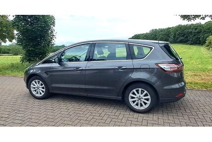 Ford S-Max Gebrauchtwagen