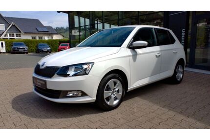 Skoda Fabia Gebrauchtwagen