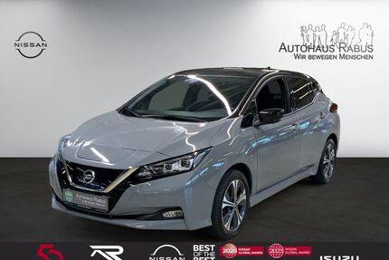 Nissan Leaf Gebrauchtwagen