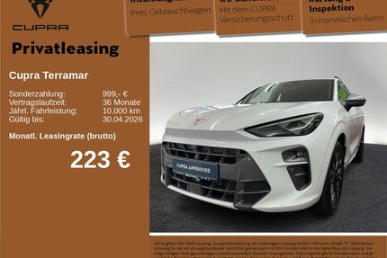 Cupra Terramar Gebrauchtwagen