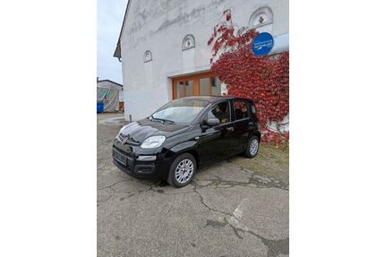 Fiat New Panda Gebrauchtwagen