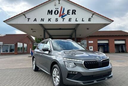 Skoda Kamiq Gebrauchtwagen
