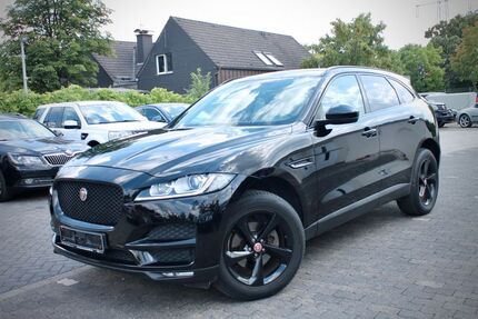 Jaguar F-Pace Gebrauchtwagen