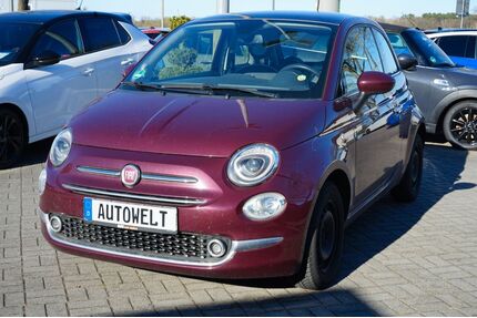 Fiat 500 Gebrauchtwagen