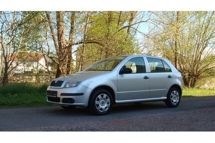 Skoda Fabia Gebrauchtwagen