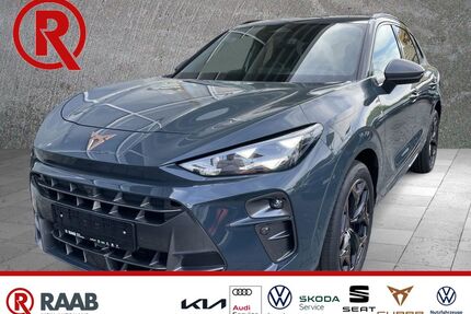 Cupra Terramar Gebrauchtwagen