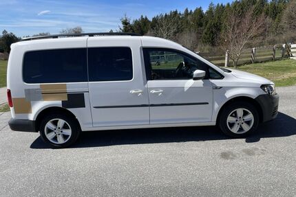 VW Caddy Maxi Gebrauchtwagen