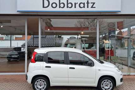 Fiat Panda Gebrauchtwagen