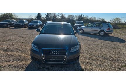 Audi A3 Gebrauchtwagen