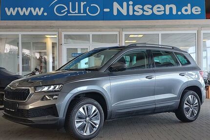 Skoda Karoq Gebrauchtwagen