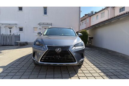 Lexus NX 300 Gebrauchtwagen