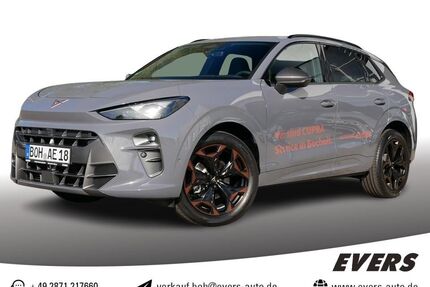Cupra Terramar Gebrauchtwagen