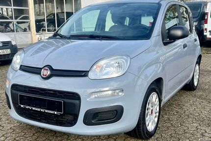 Fiat Panda Gebrauchtwagen