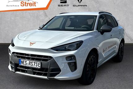 Cupra Terramar Gebrauchtwagen