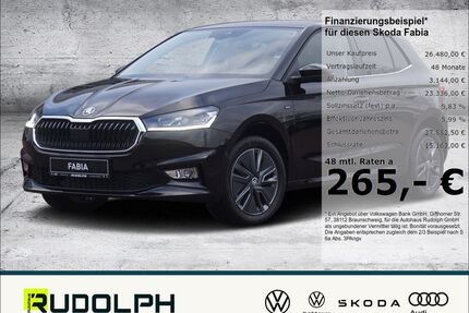 Skoda Fabia Gebrauchtwagen