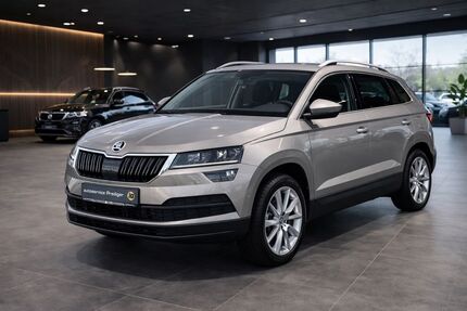 Skoda Karoq Gebrauchtwagen