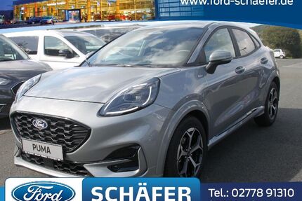 Ford Puma Gebrauchtwagen