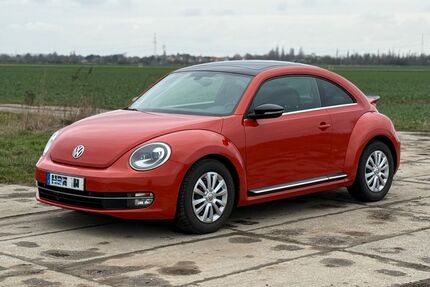 VW Beetle Gebrauchtwagen