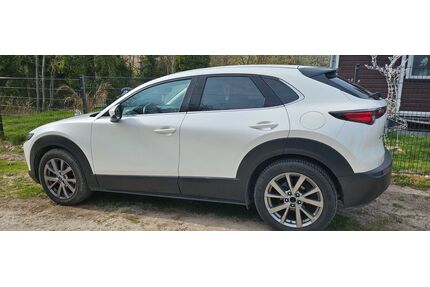 Mazda CX-30 Gebrauchtwagen