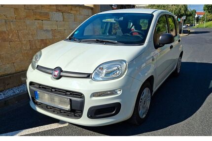 Fiat Panda Gebrauchtwagen