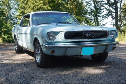 Ford Mustang Gebrauchtwagen