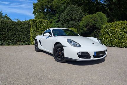 Porsche Cayman Gebrauchtwagen