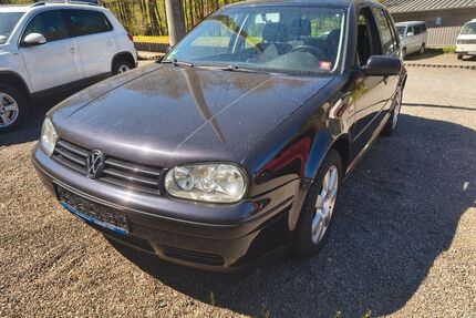 VW Golf Gebrauchtwagen
