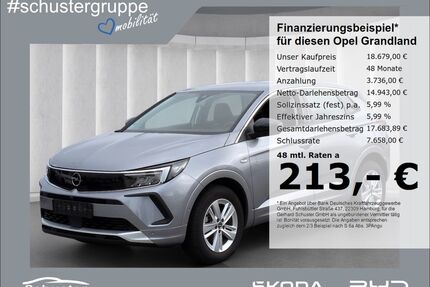 Opel Grandland (X) Gebrauchtwagen