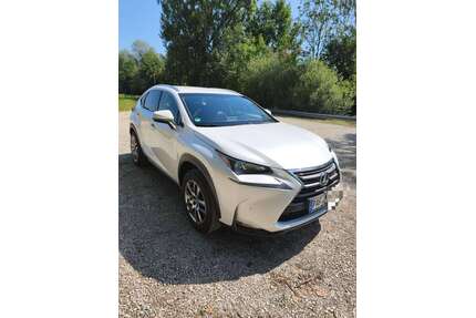 Lexus NX 300h Gebrauchtwagen