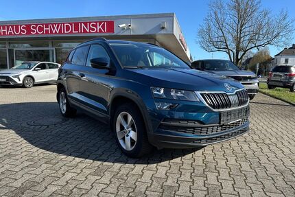 Skoda Karoq Gebrauchtwagen