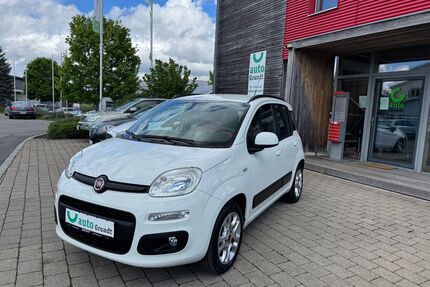 Fiat Panda Gebrauchtwagen