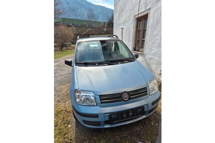Fiat Panda Gebrauchtwagen