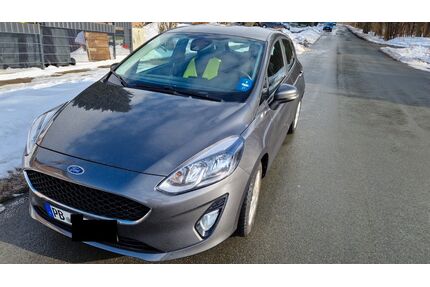 Ford Fiesta Gebrauchtwagen