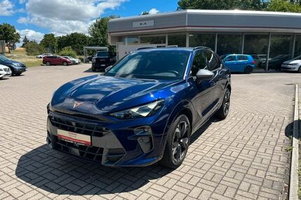 Cupra Terramar Gebrauchtwagen