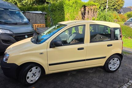 Fiat Panda Gebrauchtwagen