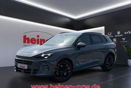 Cupra Terramar Gebrauchtwagen