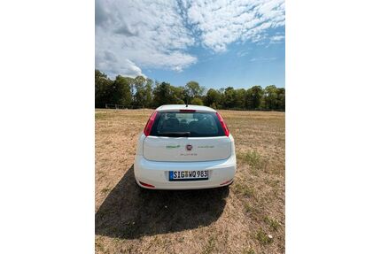 Fiat Punto Gebrauchtwagen