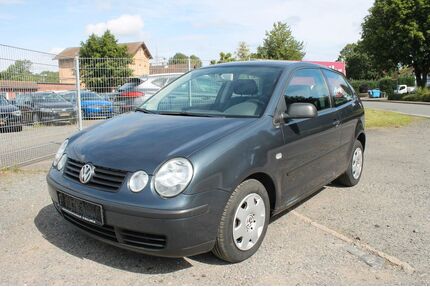 VW Polo Gebrauchtwagen