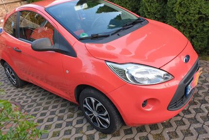 Ford Ka/Ka+ Gebrauchtwagen