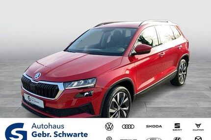 Skoda Karoq Gebrauchtwagen