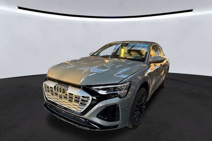 Audi Q8 e-tron Gebrauchtwagen