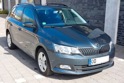 Skoda Fabia Gebrauchtwagen