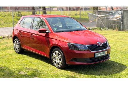 Skoda Fabia Gebrauchtwagen