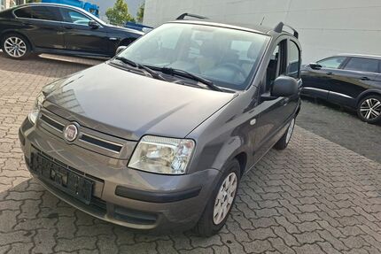 Fiat Panda Gebrauchtwagen