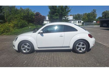 VW Beetle Gebrauchtwagen