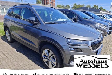 Skoda Karoq Gebrauchtwagen