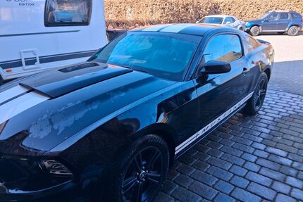Ford Mustang Gebrauchtwagen